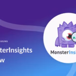 Monsterinsights