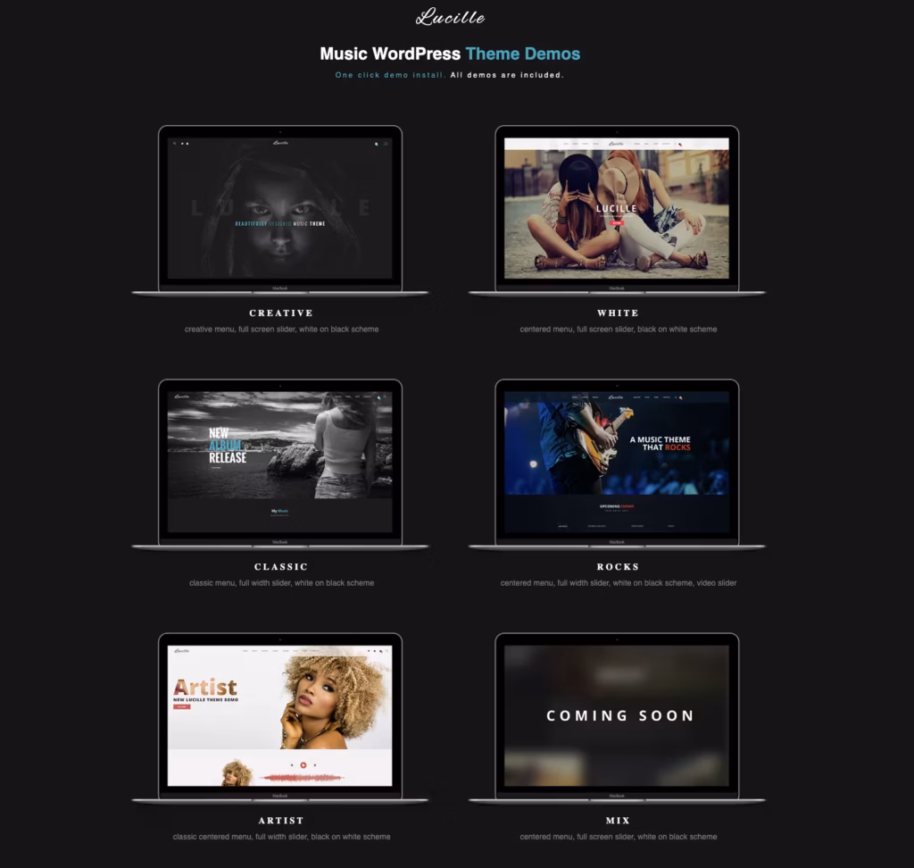 the Custom post type for music albums interface in Lucille — the strongest first-hand evidence this page can carry.